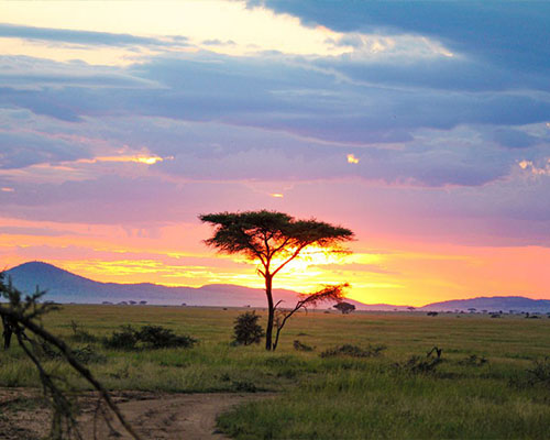 7 Days Tanzania Classic Safari